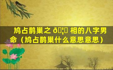 鸠占鹊巢之 🦈 相的八字男命（鸠占鹊巢什么意思意思）